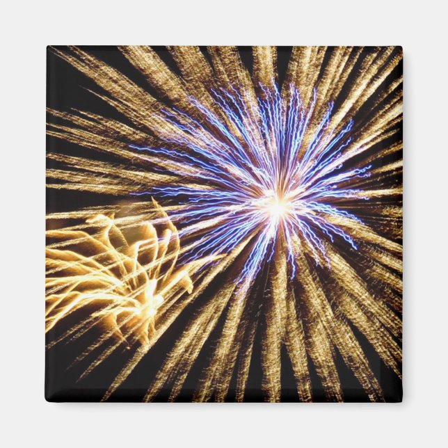 Sizzling Fireworks Display Magnet (Front)