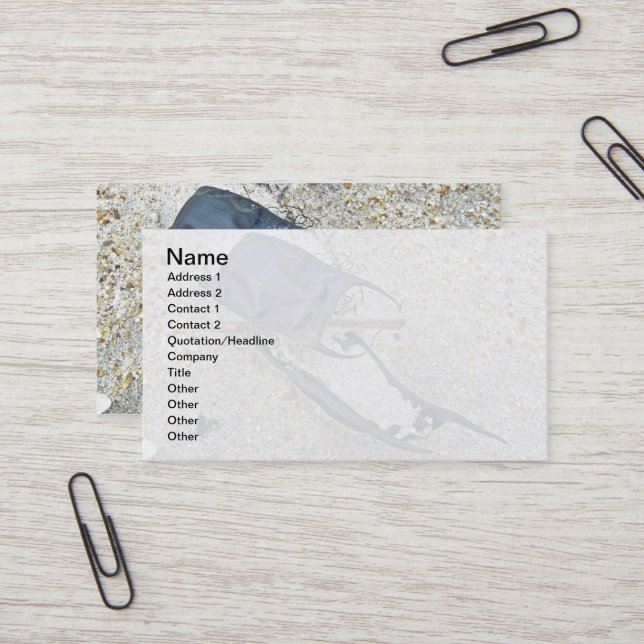 Skate Egg Cases on the Beach Business Card (Front/Back In Situ)