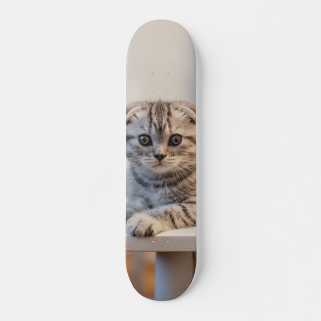 Skateboard Atento Cat Scottish fold (Front)