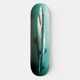 Skateboard  BEAUTIFUL Shark  Predator.