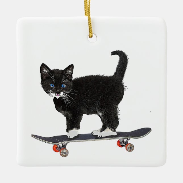 skateboard Cat Ceramic Ornament (Front)