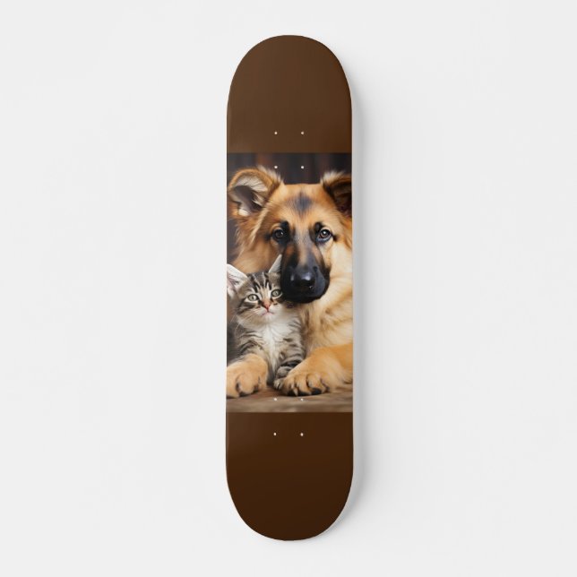 Skateboard Dog and cat together as friends (Front)