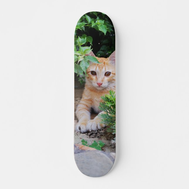 Skateboard Gato Breathes Hunting (Front)