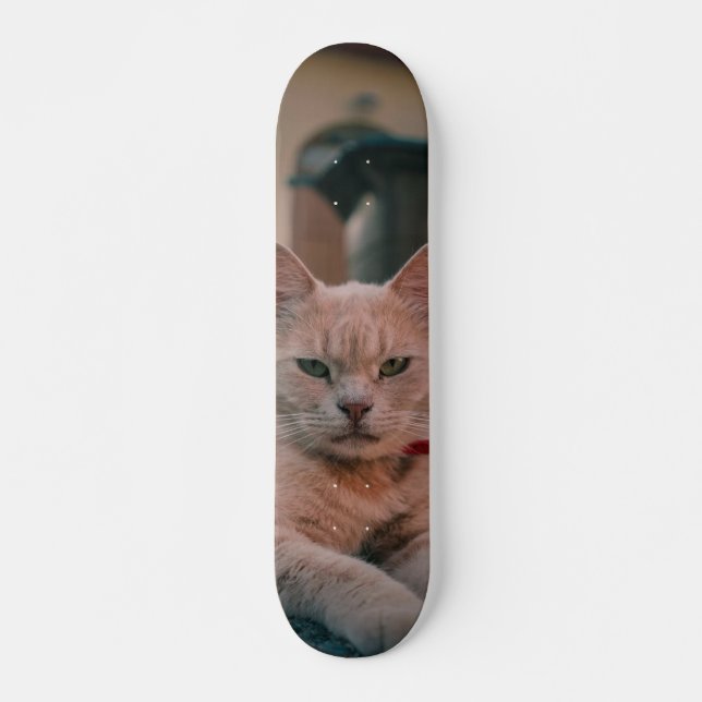Skateboard Orange cat with serious attitude (Front)
