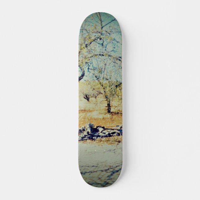 Skateboard scene (Front)
