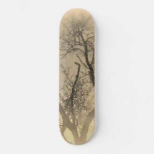 SKATEBOARD STYLE AND DESIGN