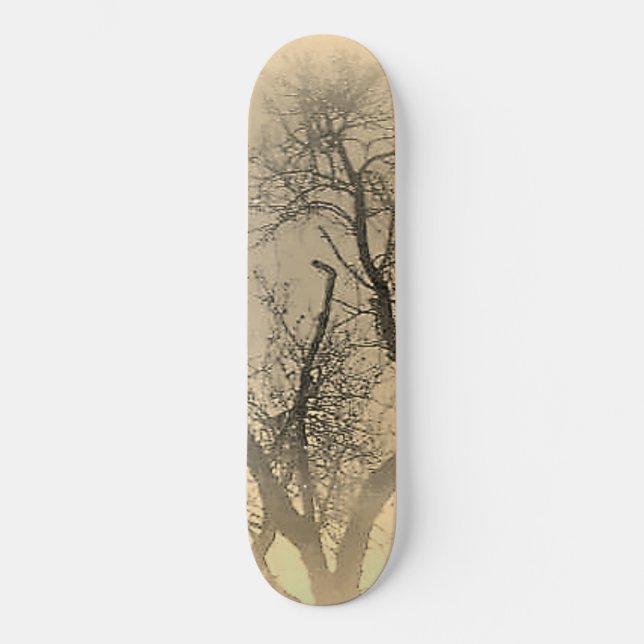SKATEBOARD STYLE AND DESIGN (Front)