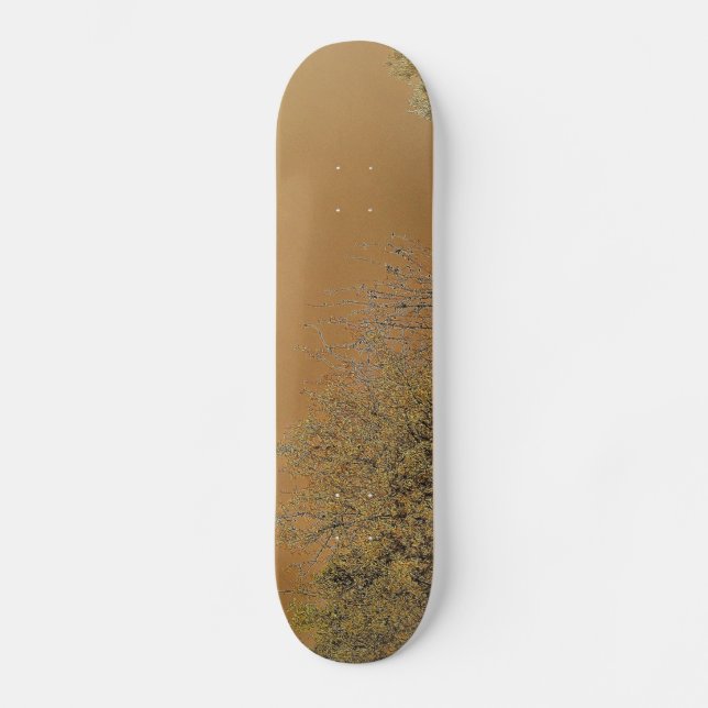 SKATEBOARD STYLE AND DESIGN (Front)