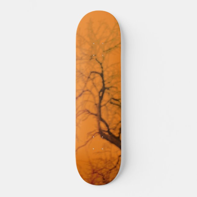 SKATEBOARD STYLE AND DESIGN (Front)