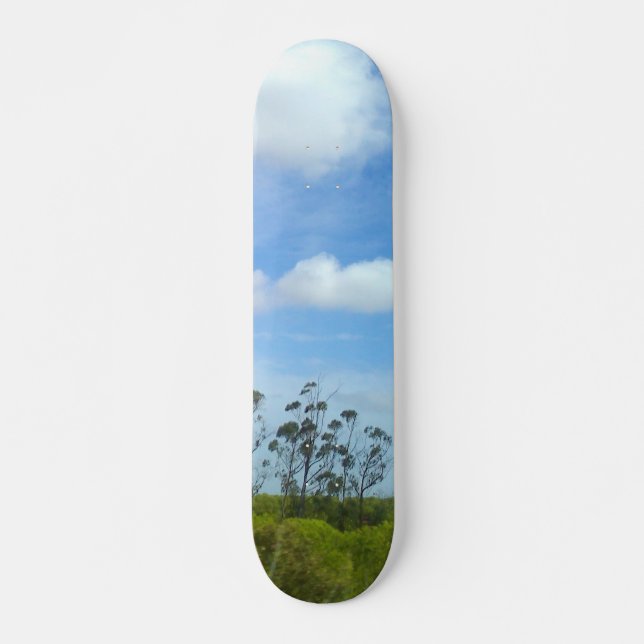 SKATEBOARD STYLE AND DESIGN (Front)
