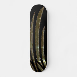 SKATEBOARD STYLE AND DESIGN