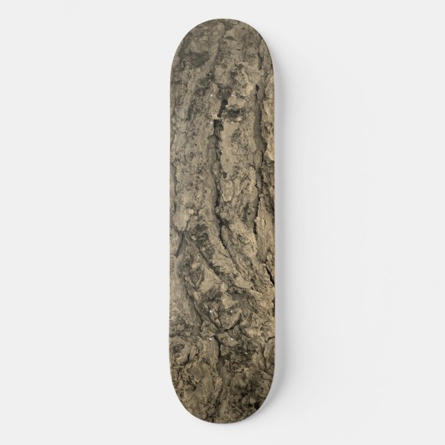 SKATEBOARD STYLE AND DESIGN (Front)