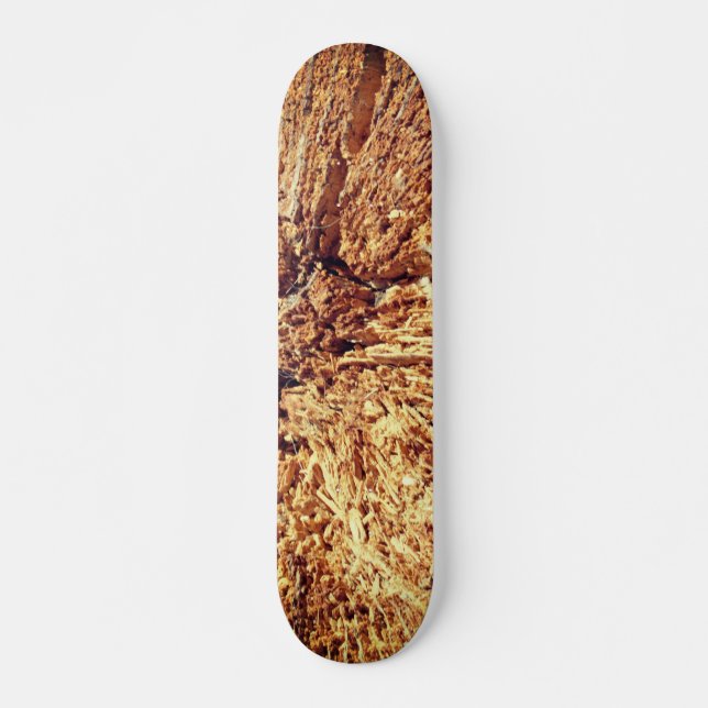 SKATEBOARD STYLE AND DESIGN (Front)