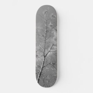 Skateboard style and design