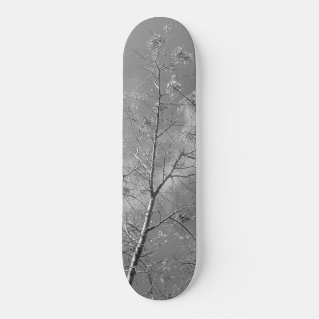 Skateboard style and design (Front)