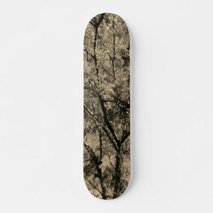 SKATEBOARD STYLE AND DESIGN