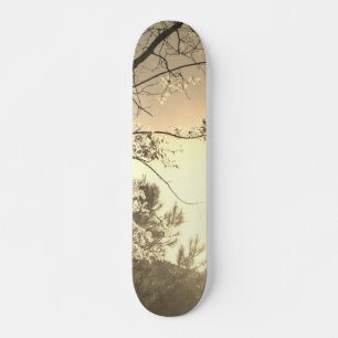 SKATEBOARD STYLE AND DESIGN