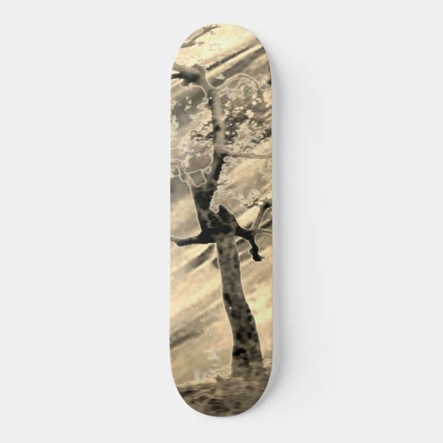 SKATEBOARD STYLE AND DESIGN (Front)