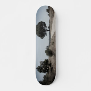 SKATEBOARD STYLE DESIGN
