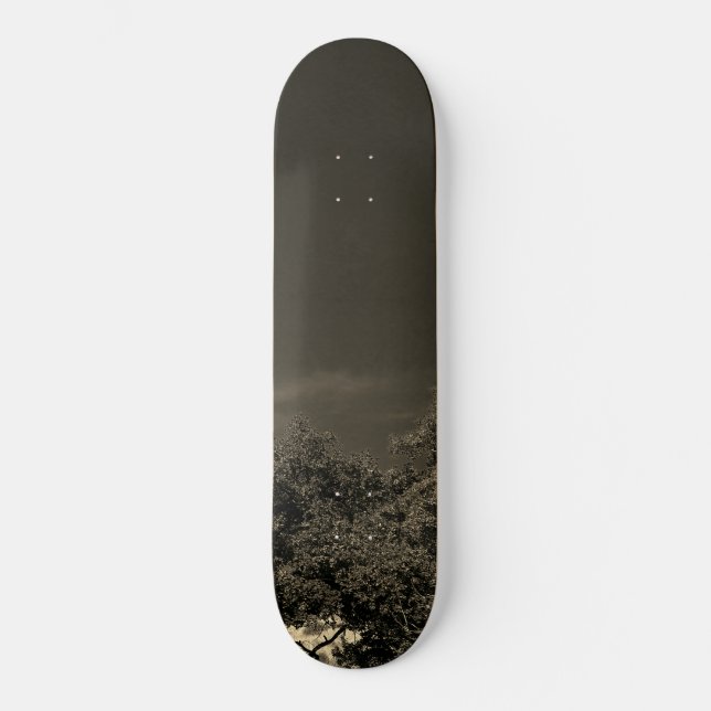 SKATEBOARD STYLE DESIGN (Front)