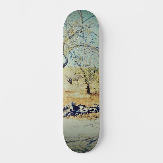 SKATEBOARD STYLE DESIGN (Front)