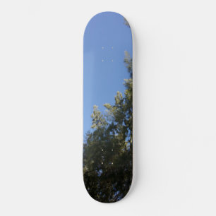 SKATEBOARD STYLE DESIGN