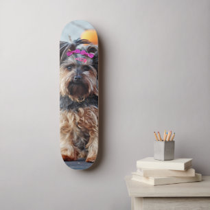 Skateboard Terrier Puppy with Pink Bows