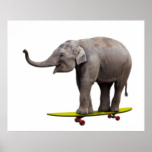 Skateboarding elephant poster