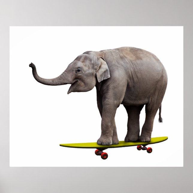Skateboarding elephant poster (Front)