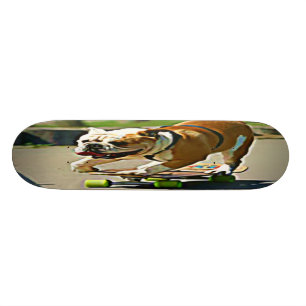 Skater Dog Skateboard