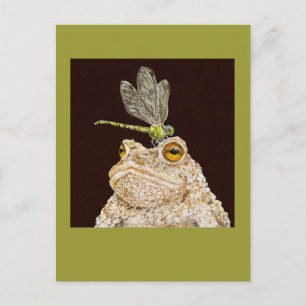 skeeter the toad postcard
