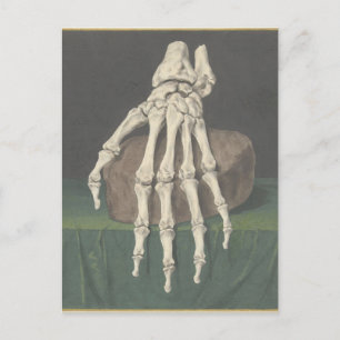 Skelet van een hand by Jan l Admiral Holiday Postcard