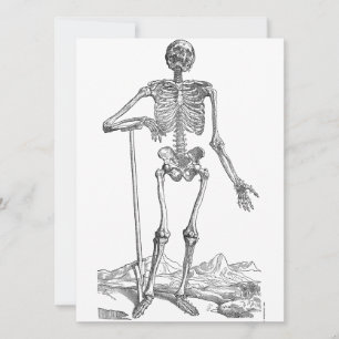 Skeleton