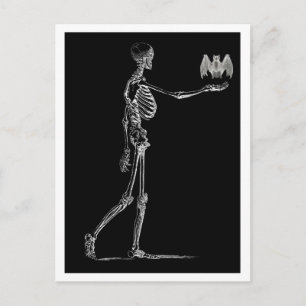 Skeleton and Bat Postcard