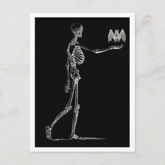 Skeleton and Bat Postcard