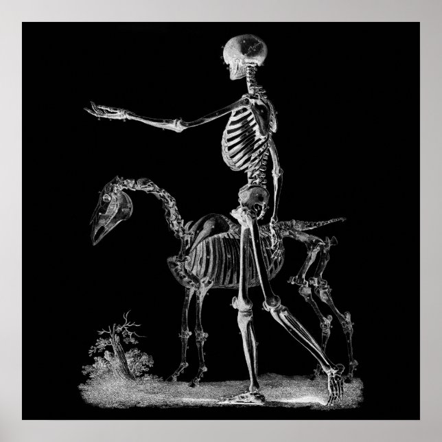 Skeleton and Horse Halloween Decor BW3 (Front)