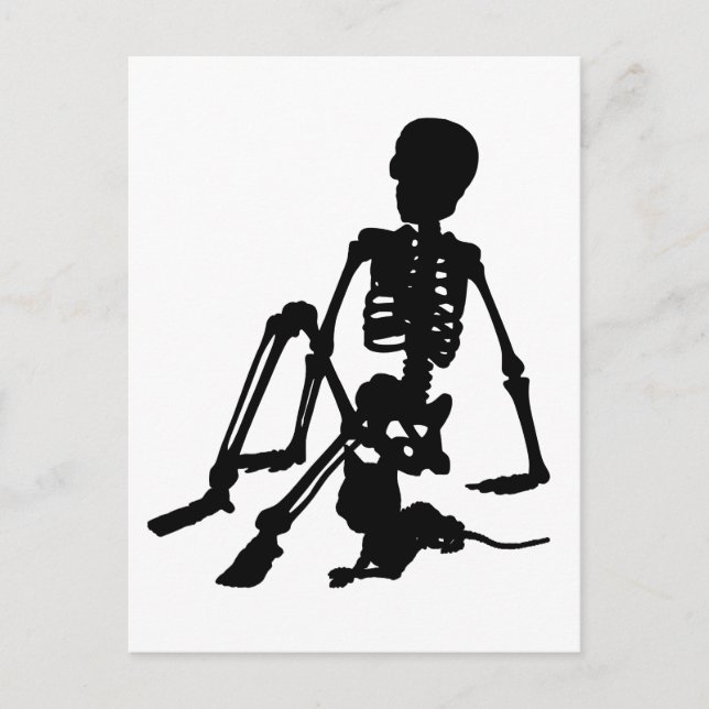 skeleton Boy and his pet cat silhouette art Postcard (Front)