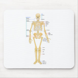 Skeleton Chart Mouse Pad