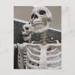 Skeleton Duo Postcard