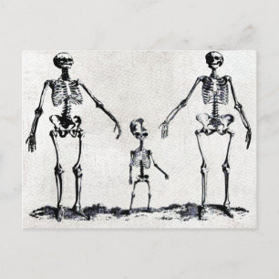 Skeleton Family Postcard