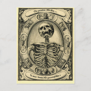 Skeleton, Goth, Mediaeval Postcard