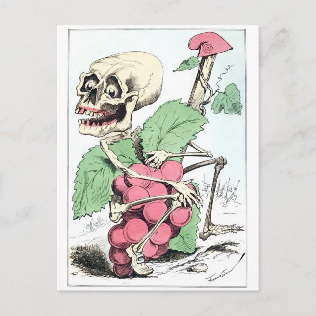 Skeleton grape theif vintage postcard (Front)