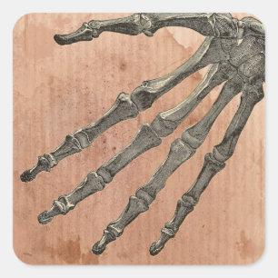 Skeleton Hand Square Sticker