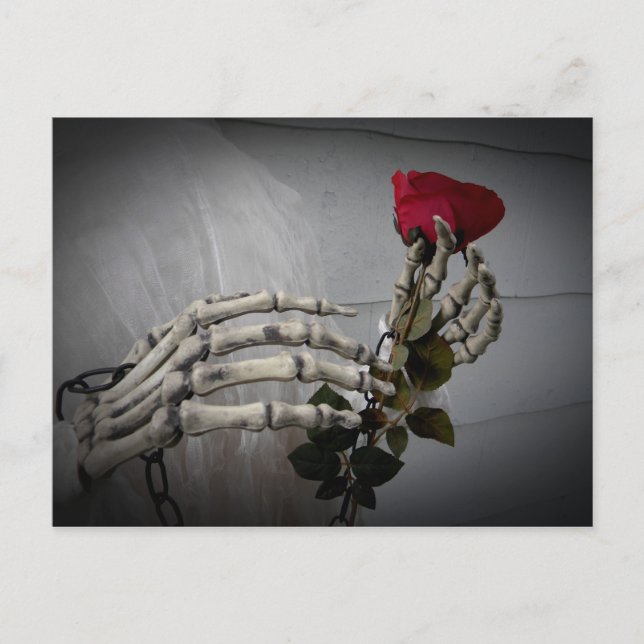 Skeleton hands rose postcard (Front)