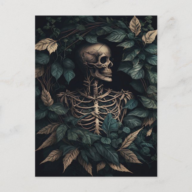 Skeleton in the woods  postcard (Front)