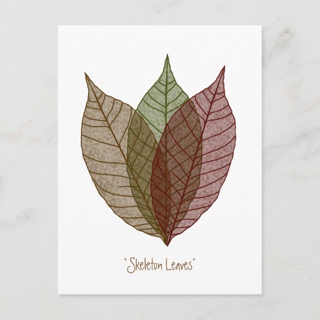 Skeleton Leaves Postcard (Front)
