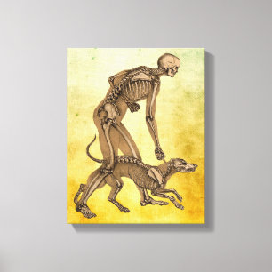 skeleton man and dog human animal anatomy art    canvas print