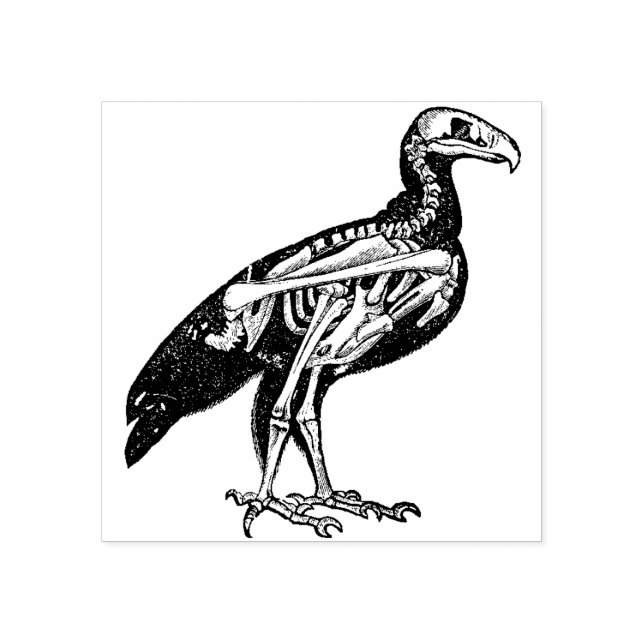 Skeleton of a Bird Rubber Stamp (Imprint)