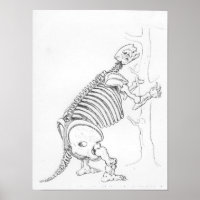 Skeleton of a Mylodon
