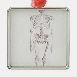Skeleton of Australopithecus africanus Metal Tree Decoration